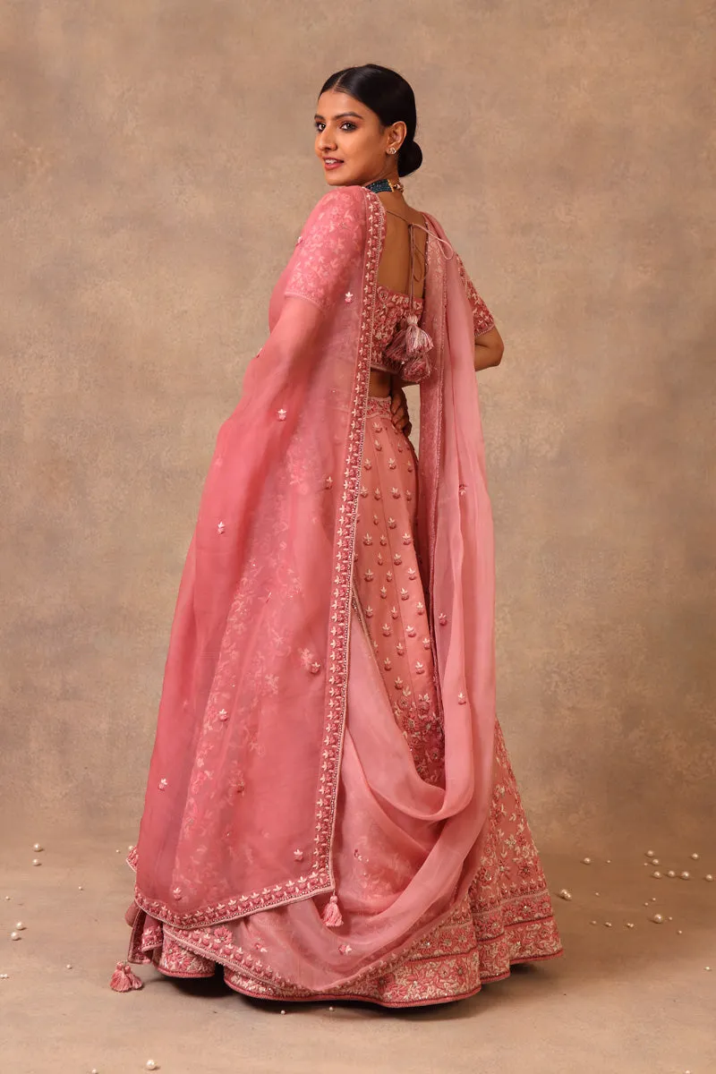 Blush pink lehenga set