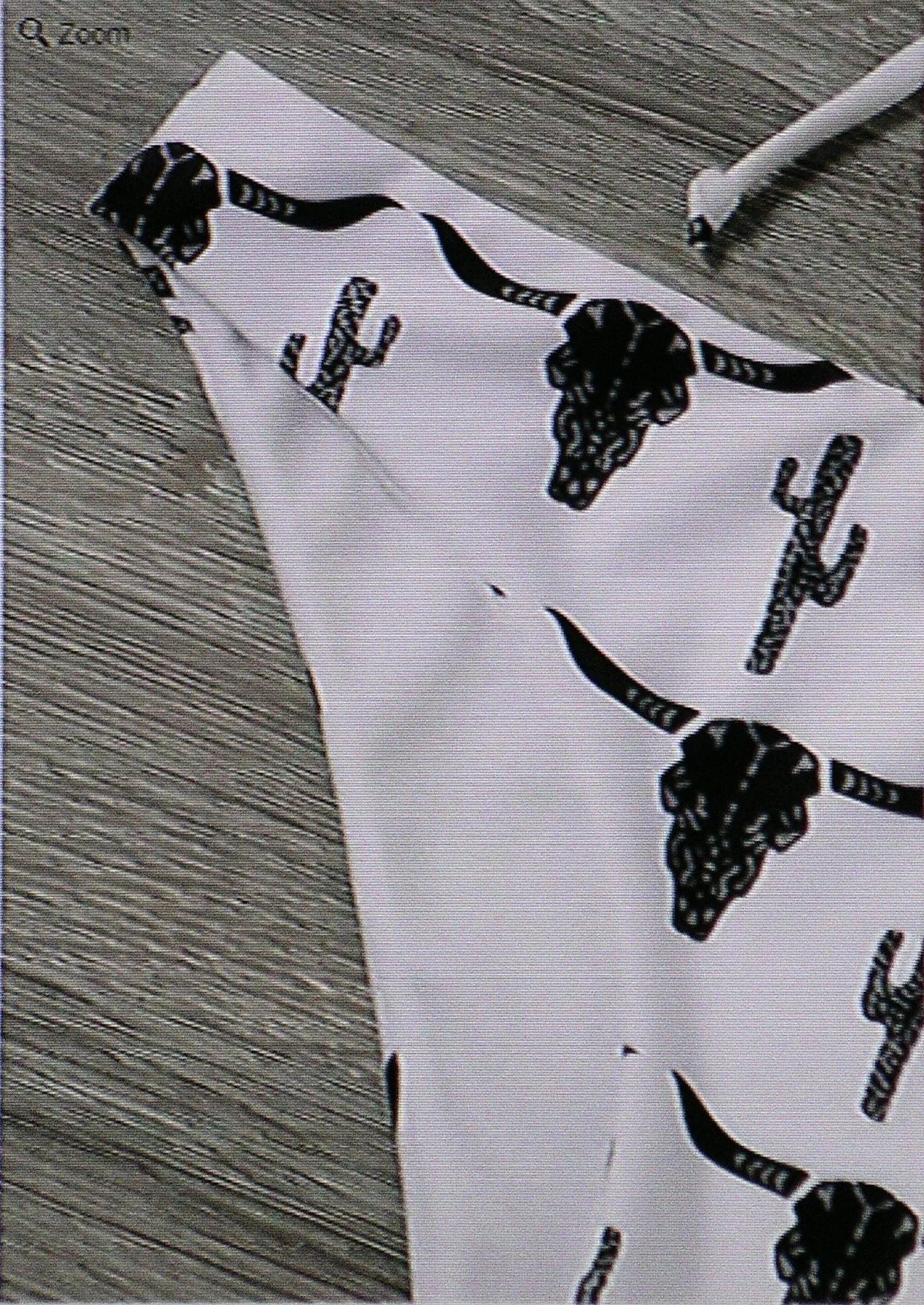 Boho Longhorn Skull Cactus Bikini White 2 Piece Swimsuit With And Black Cattle Print Padded Strappy Top Hiphugger Bottoms Small Medium Large